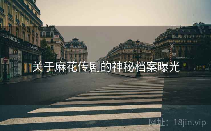 关于麻花传剧的神秘档案曝光