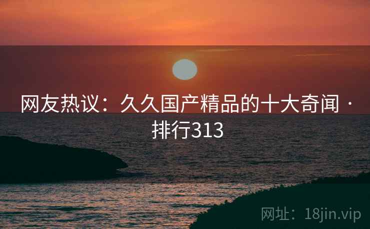 网友热议：久久国产精品的十大奇闻 · 排行313